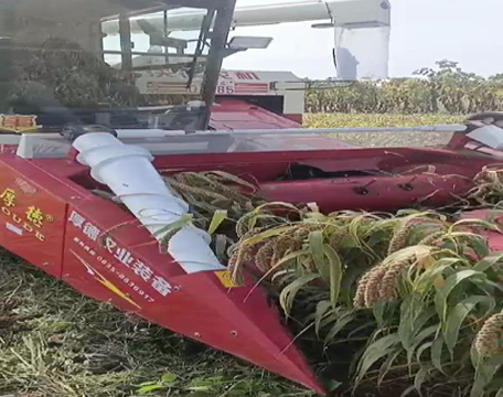 ������_(t��i)�F(xi��n)��(ch��ng)ҕ�l