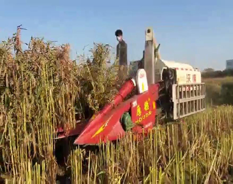 �������_(t��i)�F(xi��n)��(ch��ng)ҕ�l