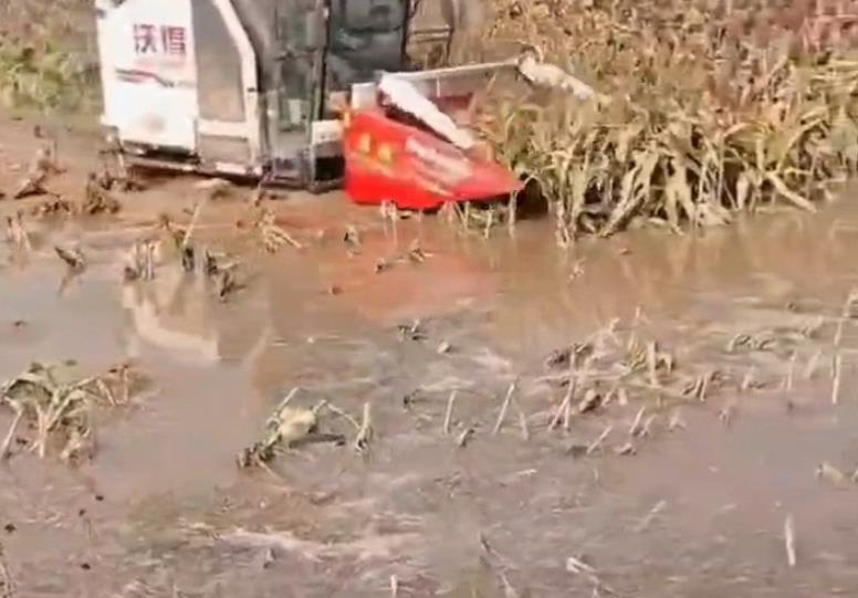 ���ݵغ�¸��_(t��i)Ч��